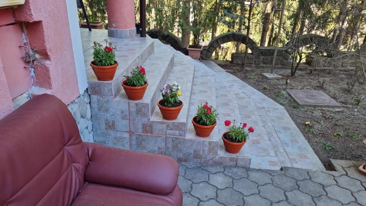 Casa Rosa Hotell Băile Olăneşti Eksteriør bilde